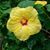 Robin S. Hooper Jordan's profile image