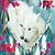 Paula Waltermire's profile image