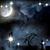 Robert Bitner's profile image