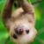 Sergey Solovev's profile image