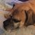 Jennifer Rice-Boucher's profile image