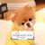 Patti Whatley Forsythe Edwards's profile image