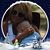 Sherry Wilson's profile image