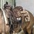 Patricia Bosworth Childs's profile image