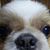 Chiaki Shigematsu's profile image
