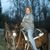 Jennie Burt Palumbo's profile image