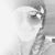 Ashlie Charon's profile image