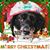 Micky Dionizio's profile image