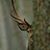 Doug Shaffer's profile image