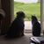 Donna Keeley's profile image
