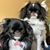 Mary Beth Margason's profile image
