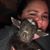 Diane Sanders's profile image