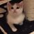 Daisy Perrington's profile image