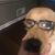 Michelle Erickson Westrich's profile image