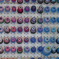 Cindy Schreck's profile image