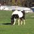 Renee Terselic's profile image