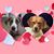 Mandy Broughton's profile image