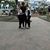 Ingrid Lucero Peñafiel Mejia's profile image