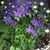 Barb Gress's profile image