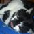 Jill Beilstein's profile image