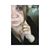 Jordan Ashleigh Pool's profile image