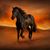 Pam Newsome's profile image