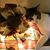 Rhonda Perry's profile image