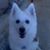 KarenL-closing Dagger Blonde's profile image