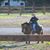 Brandon J Powell's profile image