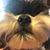 Michele Furlong Streeter's profile image