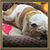Juan Esteban's profile image
