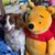 Angela Williams Gustafson's profile image