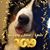 Tammy Odiorne's profile image