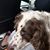 Corrine Forrestal's profile image