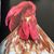Anthony Welcher's profile image