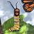 Melissa O'Dowd Johnson's profile image