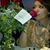 Satomi Phillips's profile image