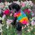 Janine Berry's profile image