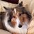 Kandi Sagehorn's profile image