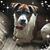 Gina Supers's profile image