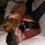 Peter Mendoza's profile image