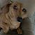Debbie Ann's profile image
