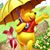 Cyndie Chauvin's profile image