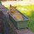Cyndie Grow's profile image