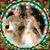 Jennifer Stewart-Stevens's profile image
