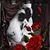 Patricia Meloni's profile image