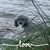Janice Harvey's profile image