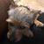 Susan Berczuk Mattine's profile image