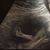 Mandy Sampley's profile image