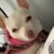 Beth Eaton Potter's profile image